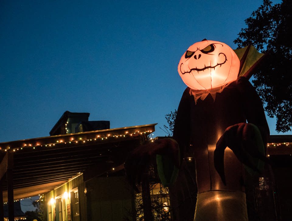 Boo at the Zoo