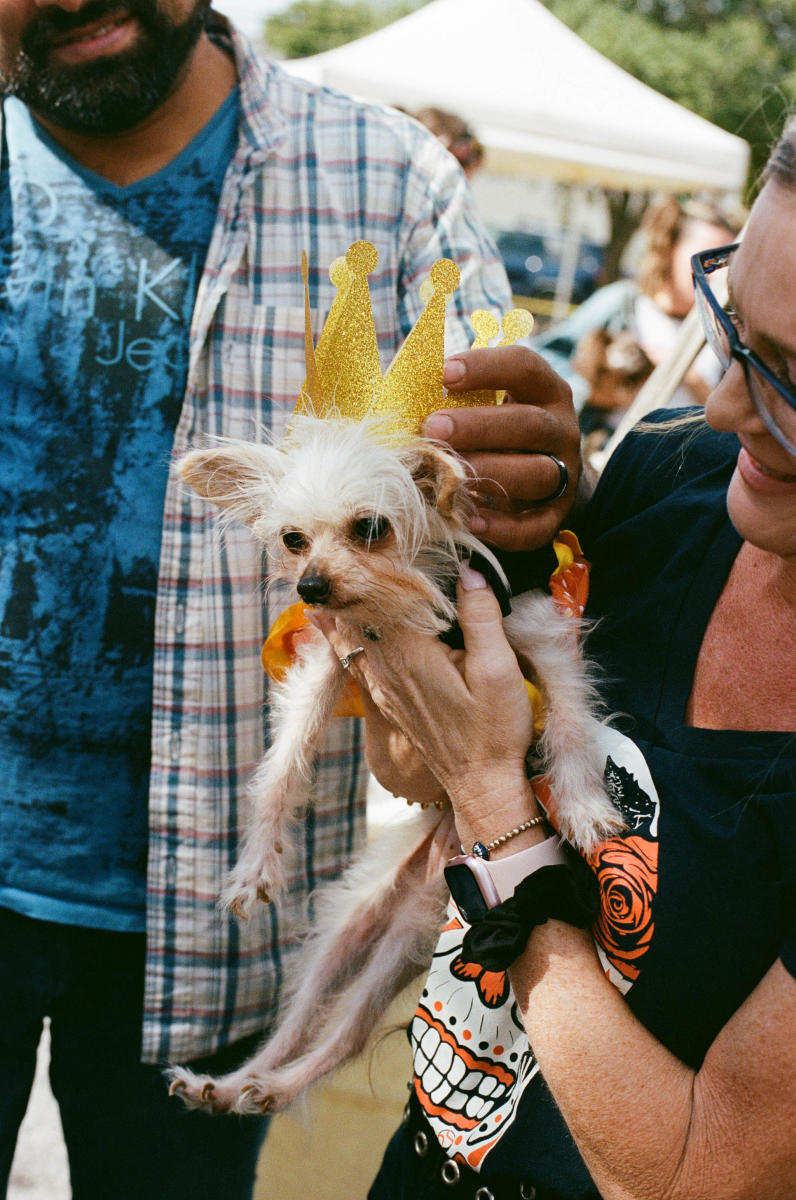 Jo's Red River 7th Annual Ugly Dog Contest Austin, TX