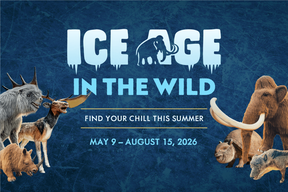 Ice Age in the Wild