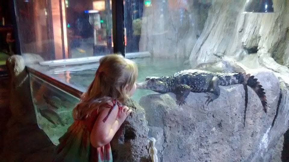 Austin Aquarium Austin, TX