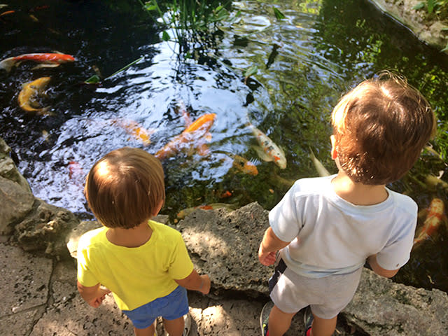 Zilker Botanical Garden