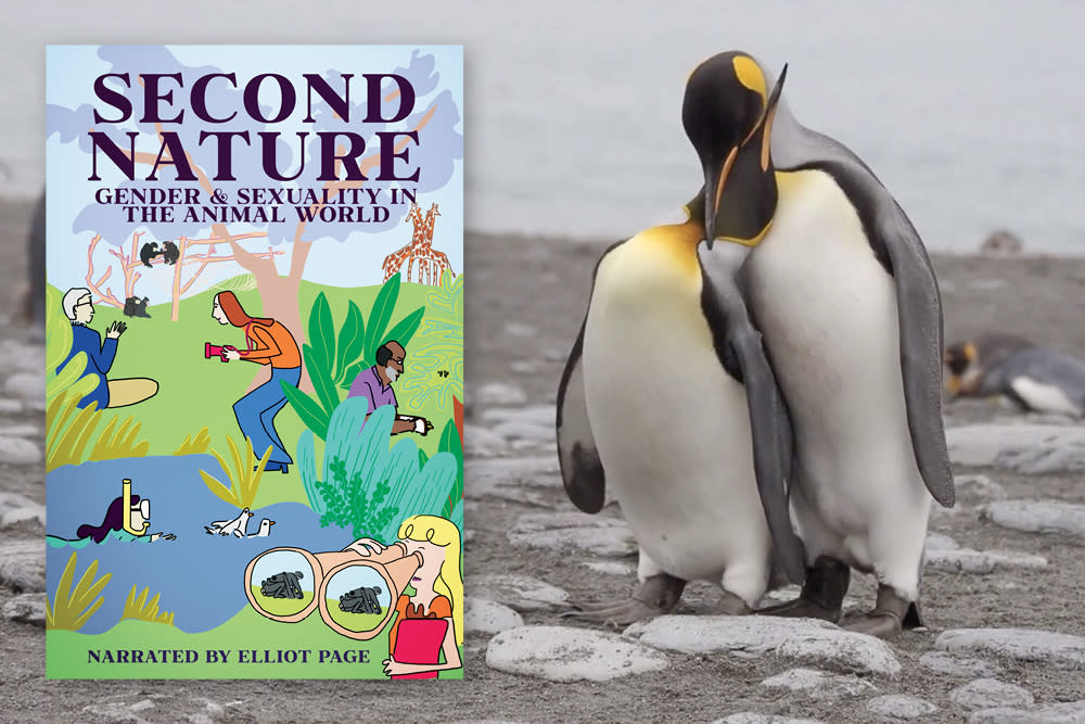 Second Nature