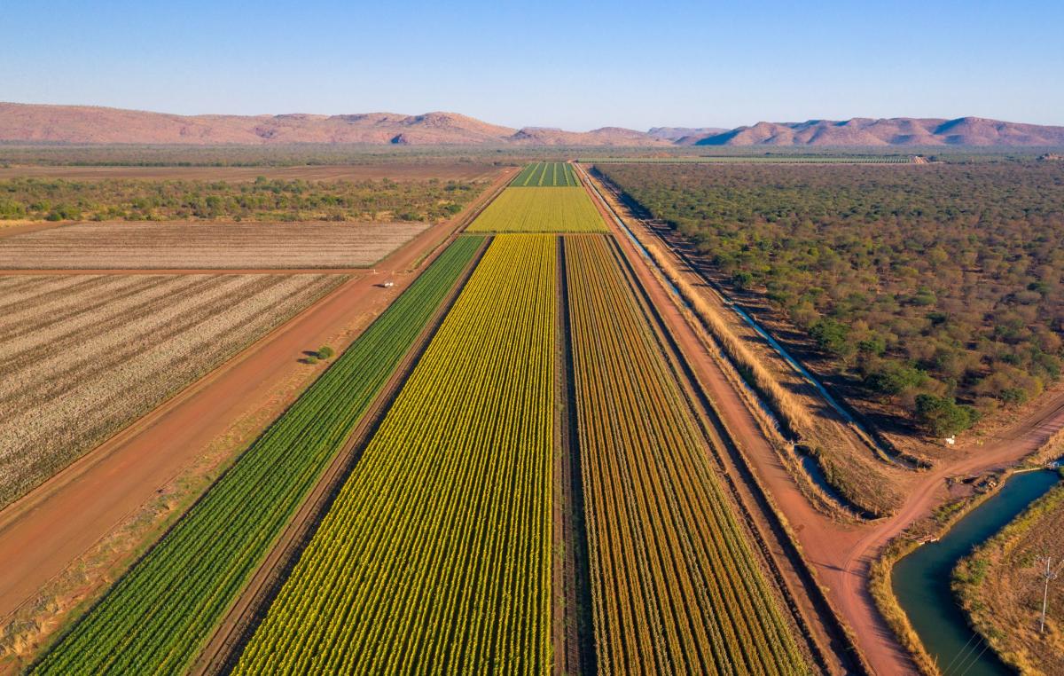 Ord River Irrigation Area