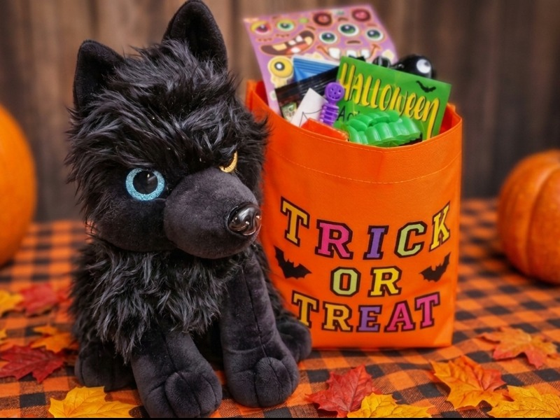 Build-A-Boo Bag