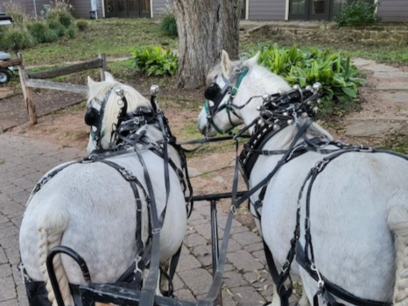 Renegade Holiday Wagon Rides