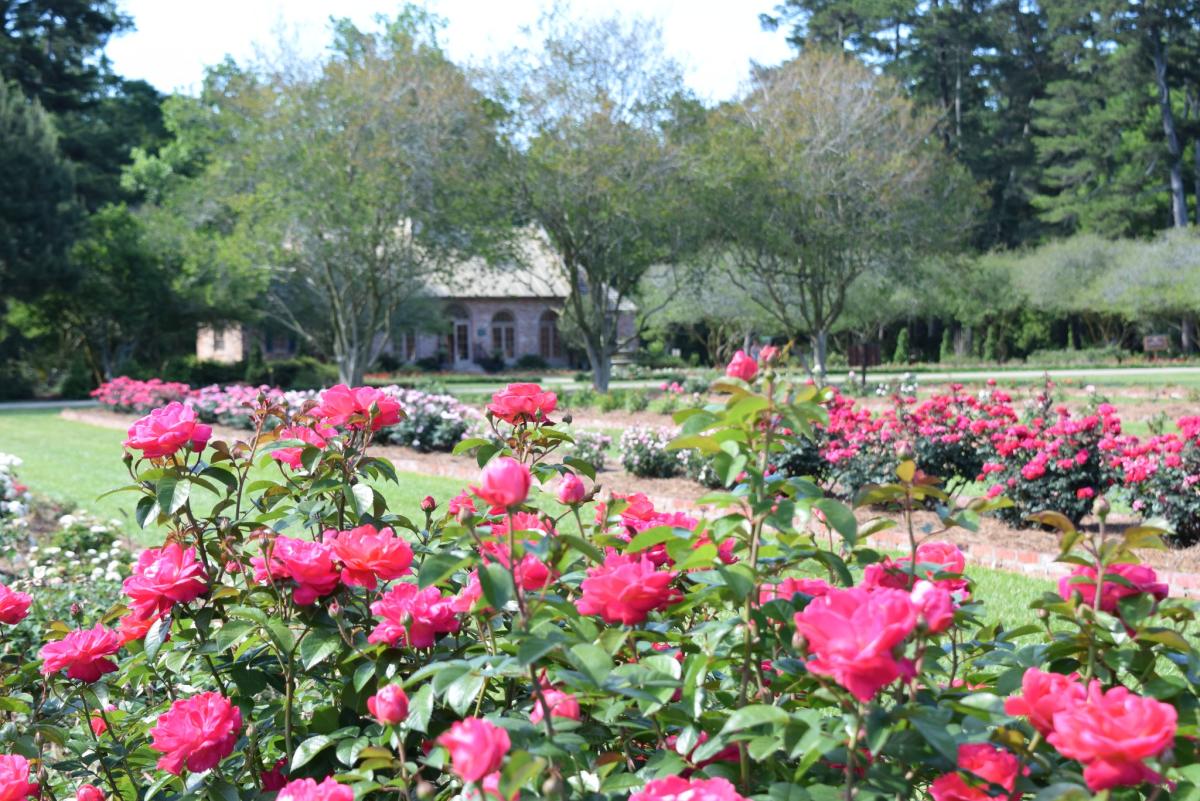 Burden Museum & Gardens