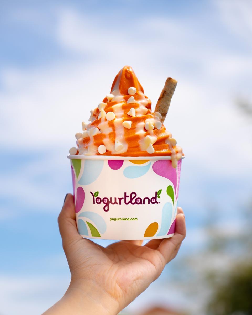 Yogurt Land Corporate/ Towne Center