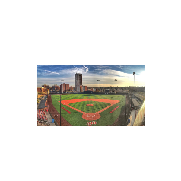WKU Baseball vs. Louisville Cardinals
