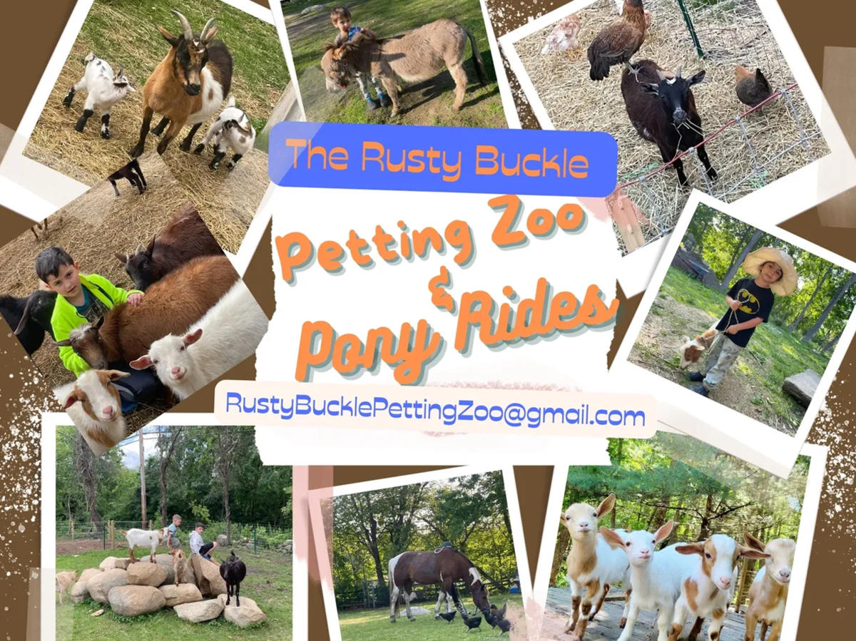 The Rusty Buckle Petting Zoo & Pony Rides