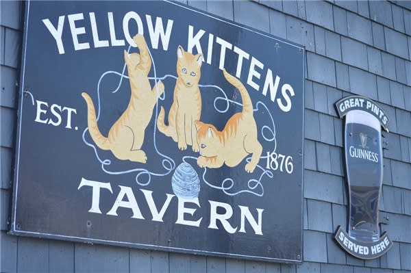 The Yellow Kittens Block Island RI