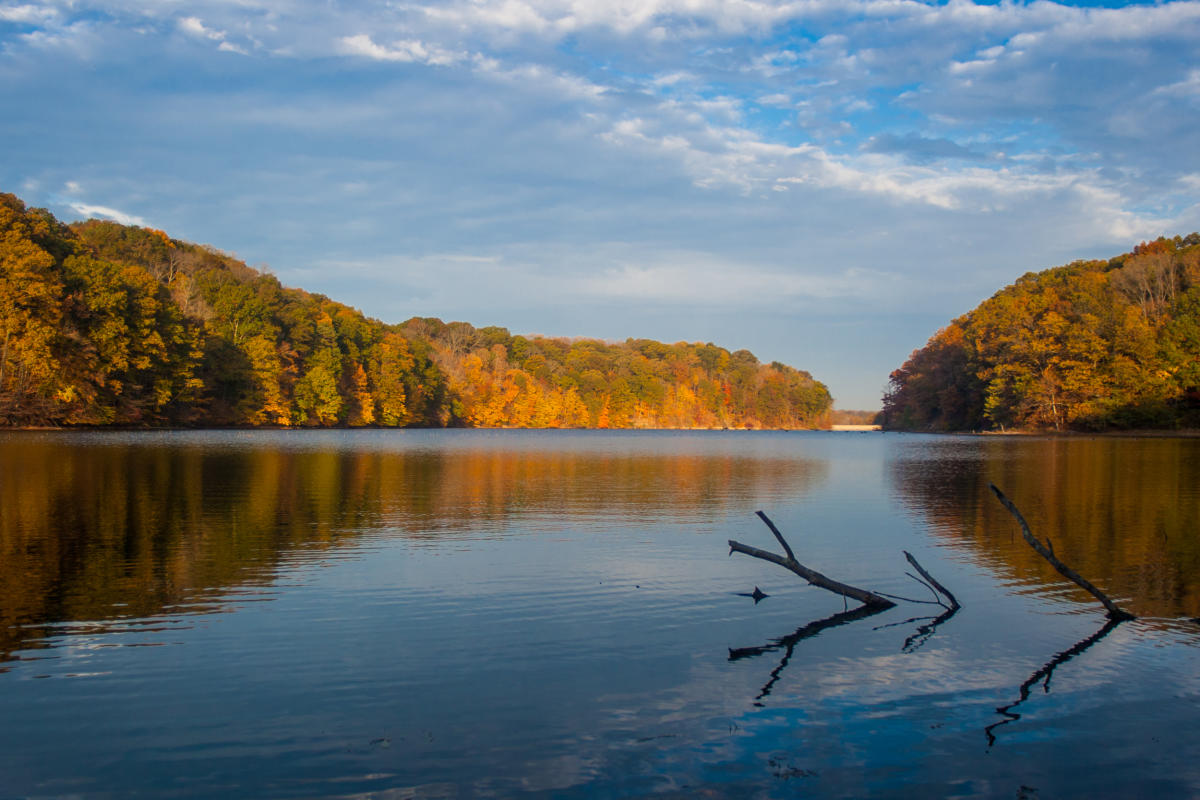 Griffy Lake Nature Preserve