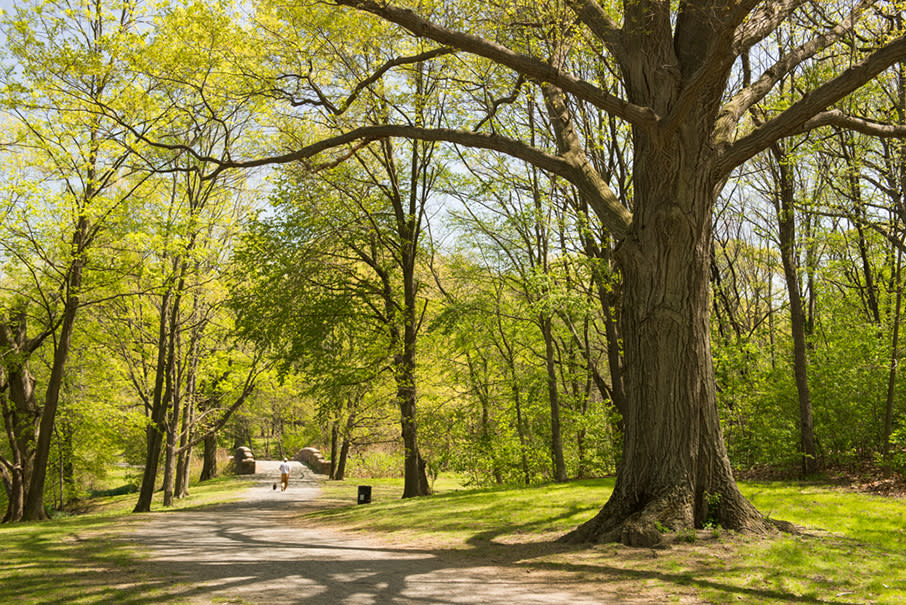 Emerald Necklace Conservancy