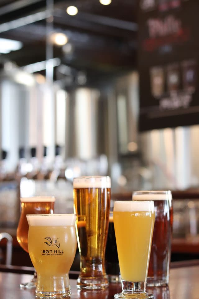 Iron Hill Brewery & Restaurant Newtown, PA