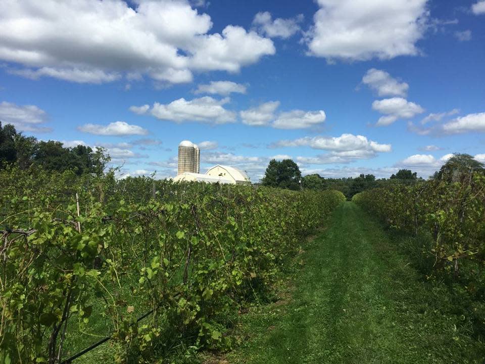 Bishop winery shop