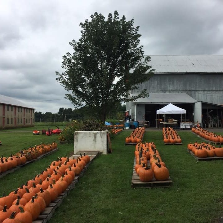 Eastburn Farm Pineville, PA