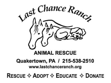 Last chance ranch shop dogs for adoption