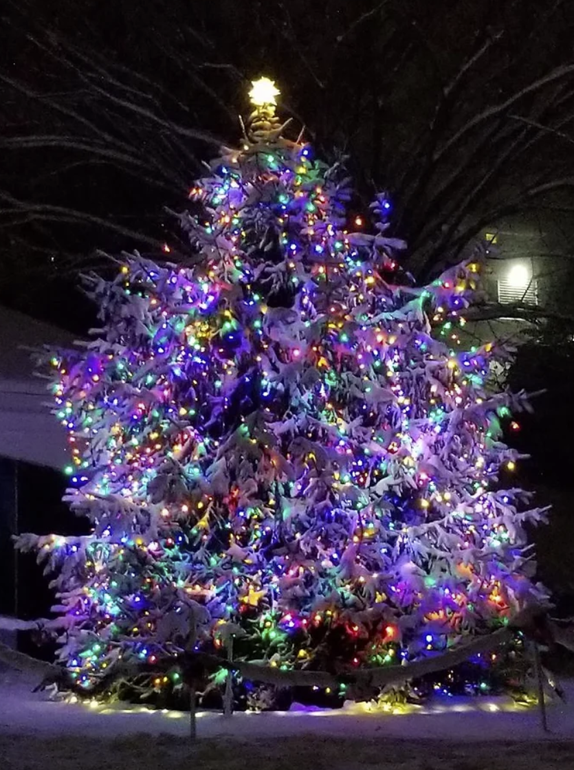 Yardley Christmas Tree Lighting Yardley, PA