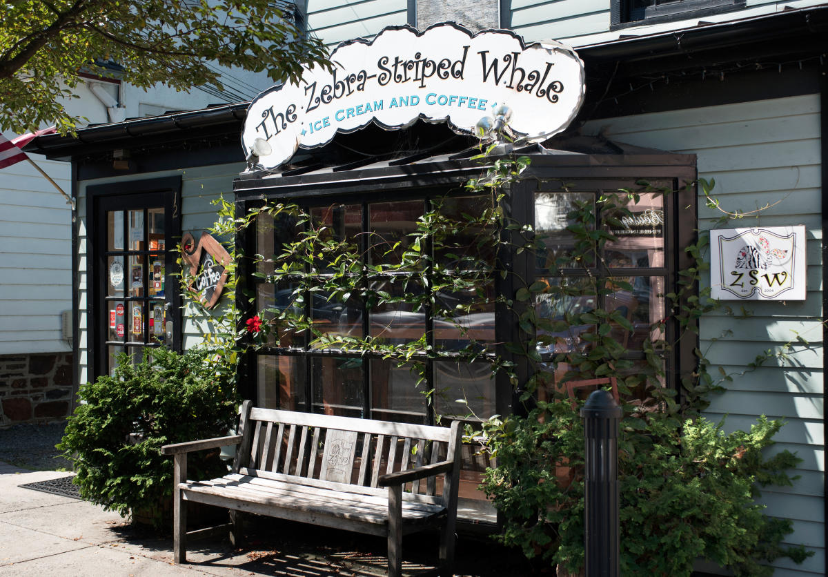 ZebraStriped Whale Newtown, PA