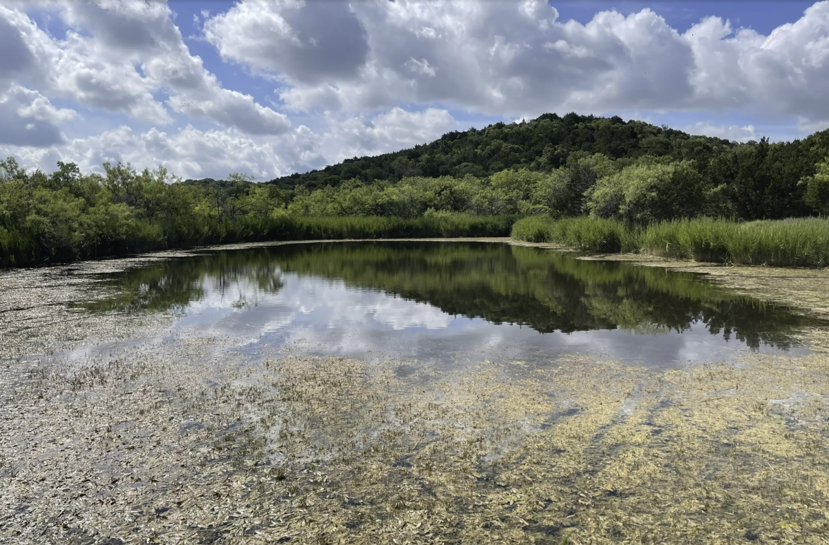 Cedar Ridge Preserve