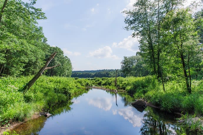 Buffumville Lake | Charlton, MA | Discover Central Massachusetts