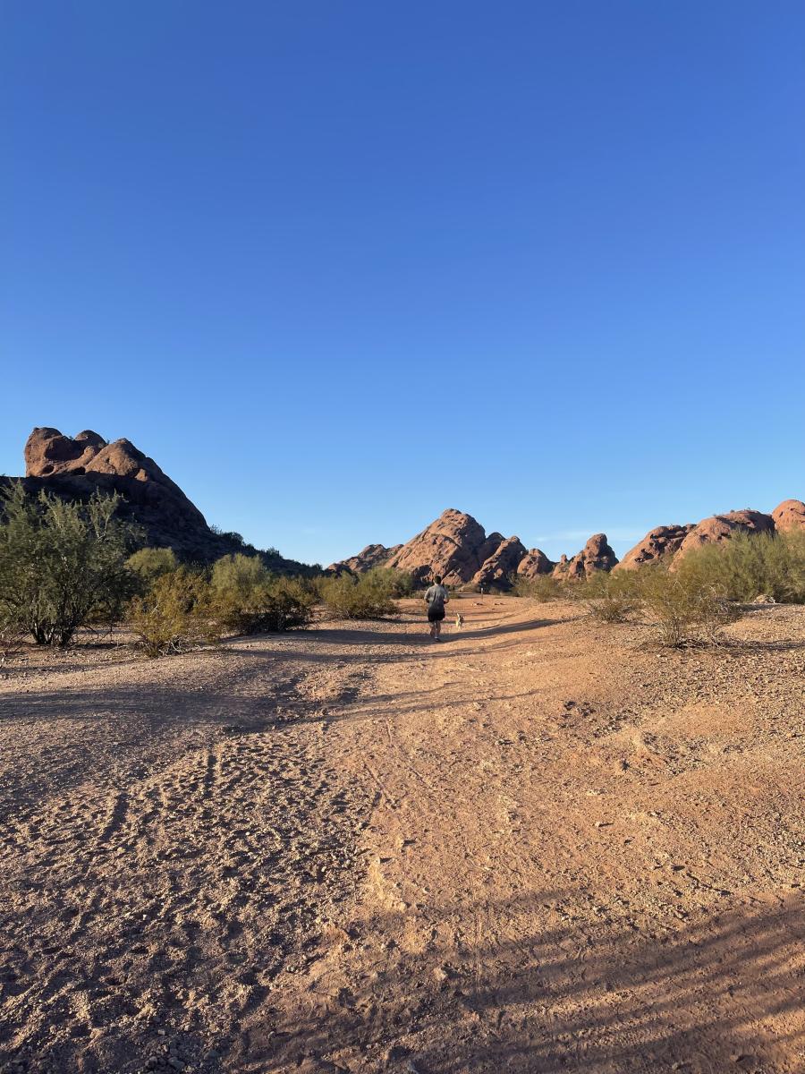 Papago park mountain 2025 biking