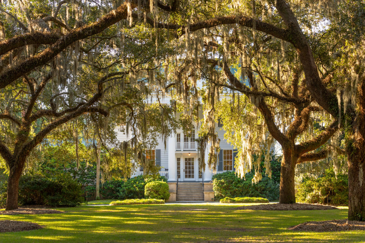 Bootstrap via website (https://www.ccprc.com/listing/mcleod-plantation-historic-site/19/)