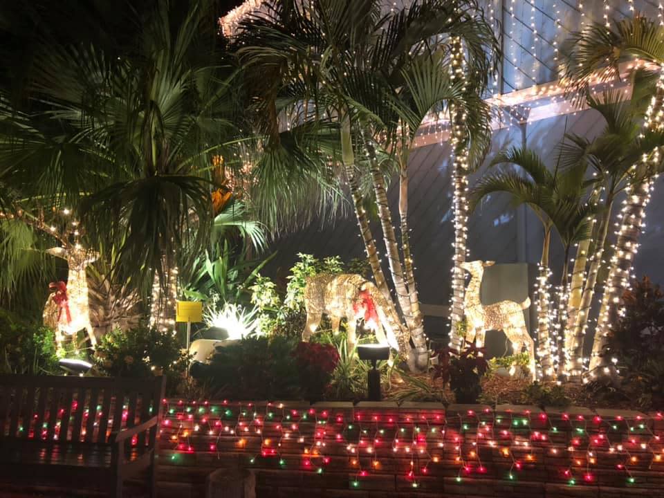Festival of Lights