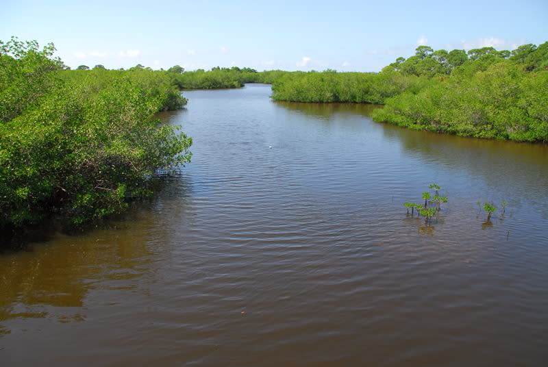 Peace River Preserve