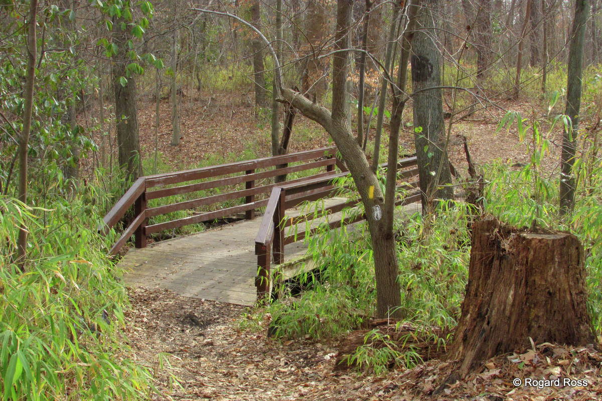 First Day Hike at Indian River Park South