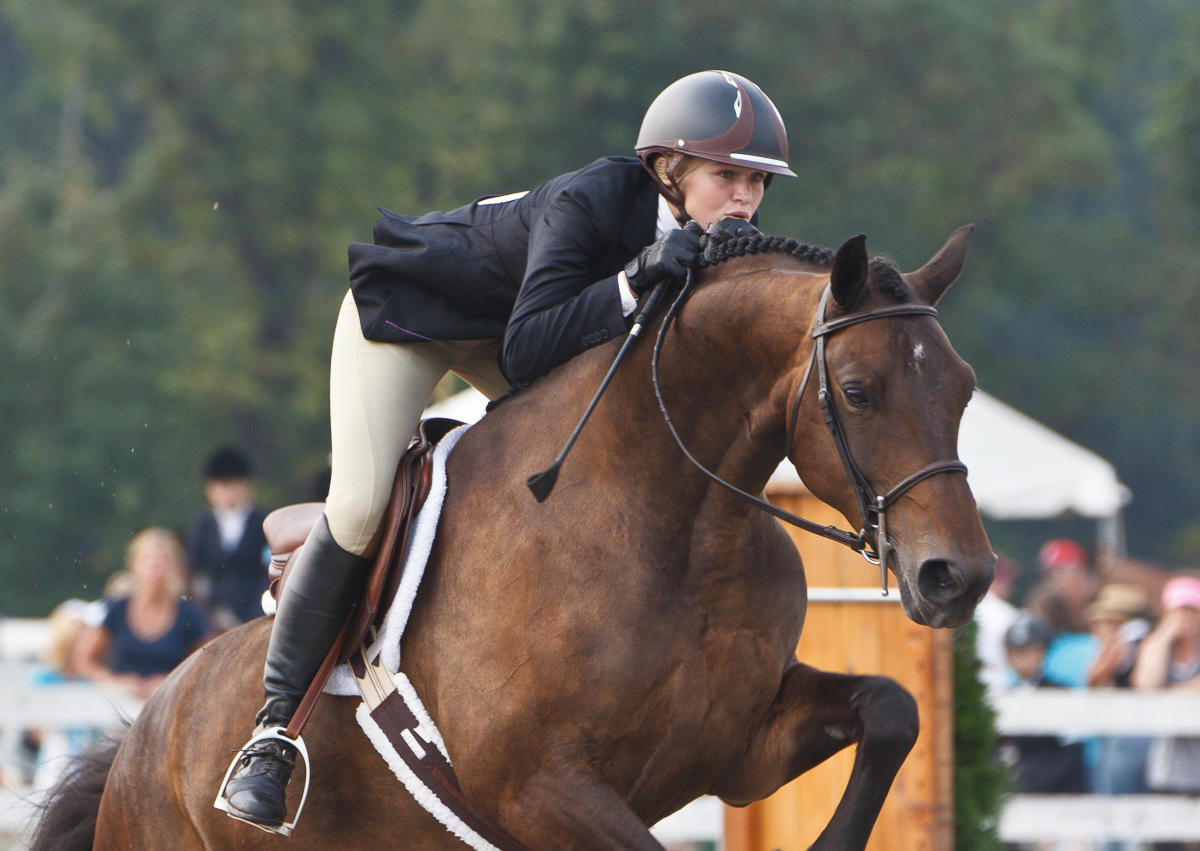 Ludwig's Corner Horse Show and Country Fair