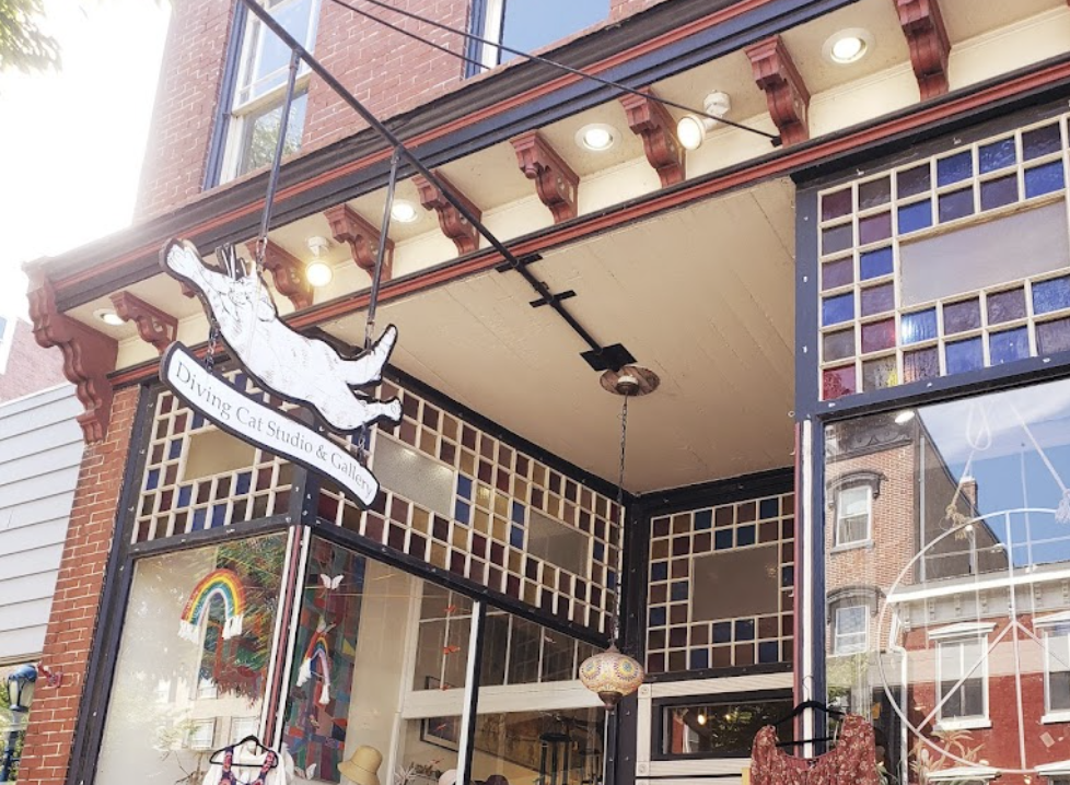 Diving Cat Studio Gallery