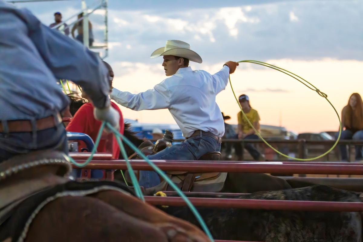 Team Roping Lance Reed DeLancey Team Roping