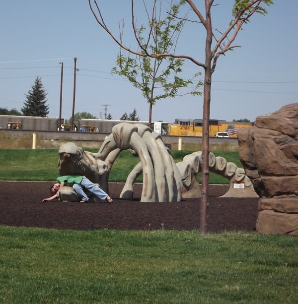 David R. Romero South Cheyenne Community Park