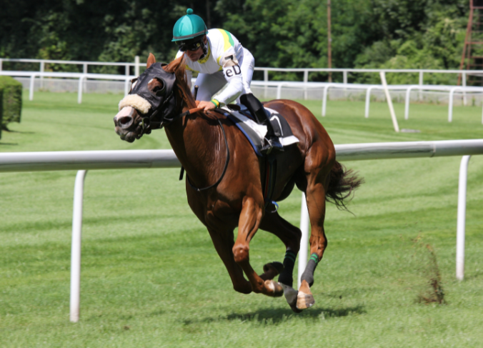 Race to Fame: Hometown Kentucky Derby Legends at the Behringer-Crawford ...