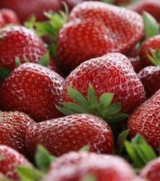 Cottle Strawberry Farm