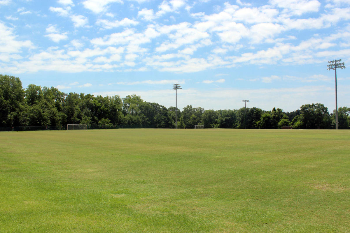 Gibson Road Sports Complex