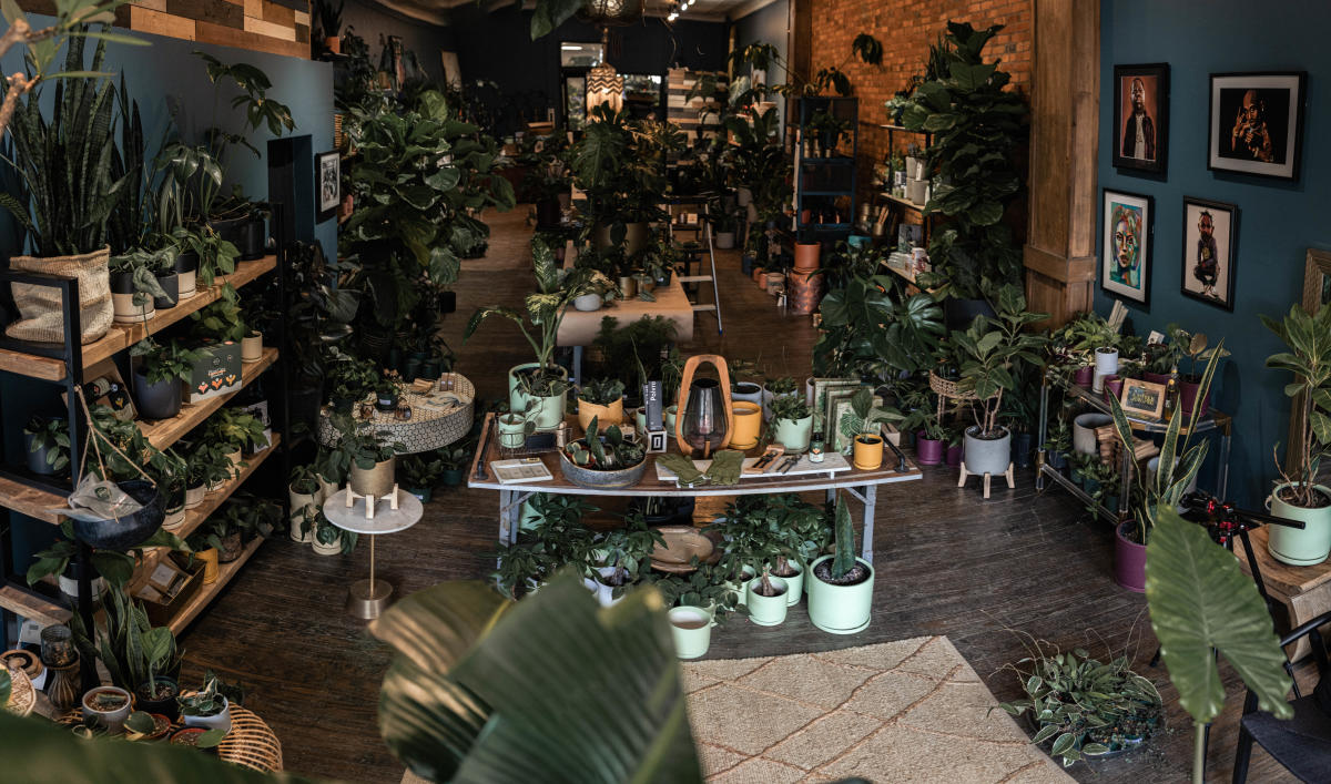 Coles Plants Columbus, OH 43215