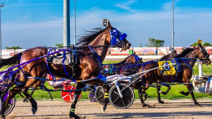 Breeders Crown — Sports & recreation in Columbus, OH