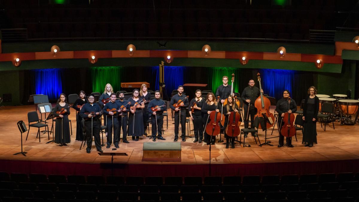 Concert Orchestra In Concert: Images and Impressions — event imagery