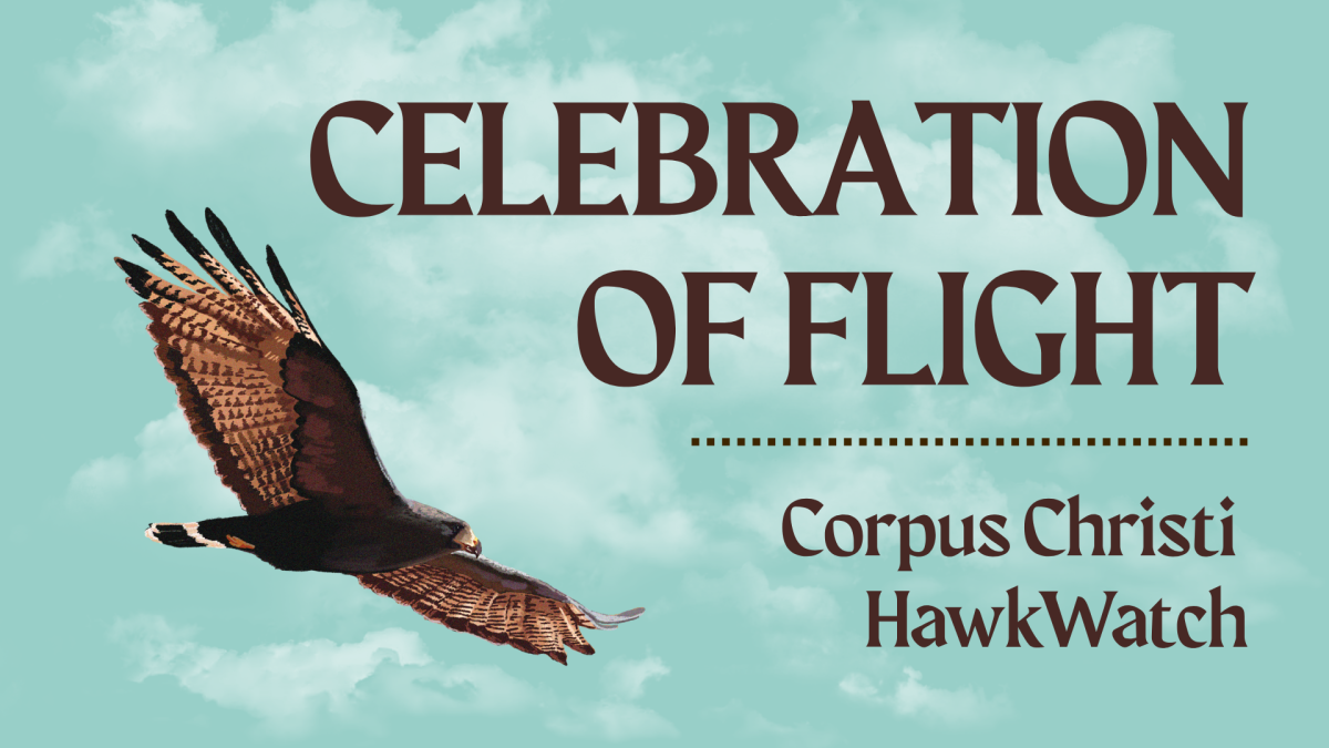 Celebration of Flight — event imagery