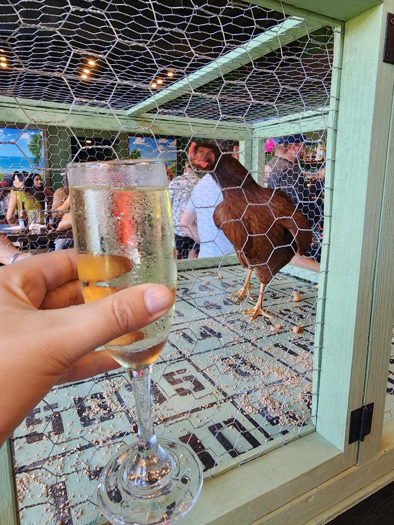 Chicken Shiz Bingo Corpus Christi, TX