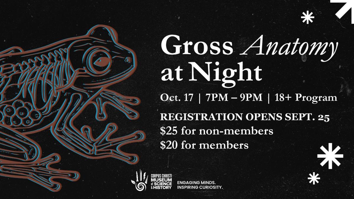 Gross Anatomy At Night — event imagery