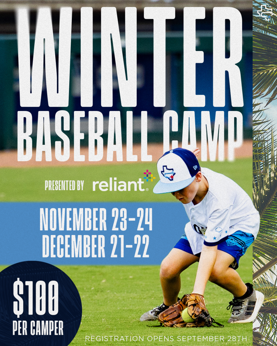 Winter Baseball Camp — event imagery