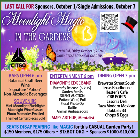 MOONLIGHT ‘MAGIC’ in the GARDENS — event imagery