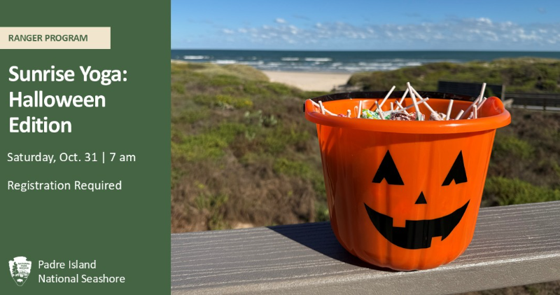 Sunrise Yoga: Halloween Edition β event imagery