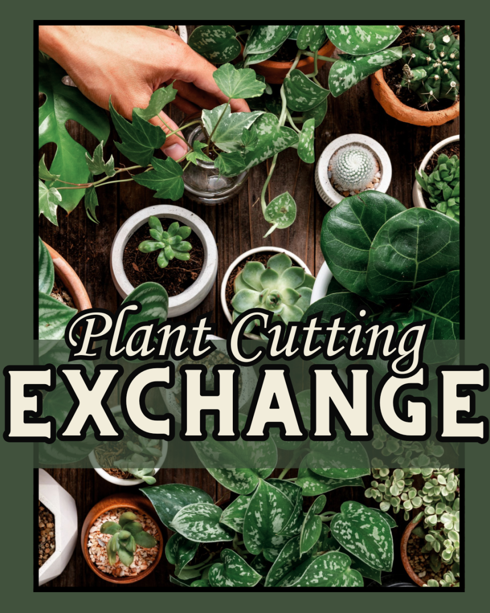 Plant Exchange — event imagery
