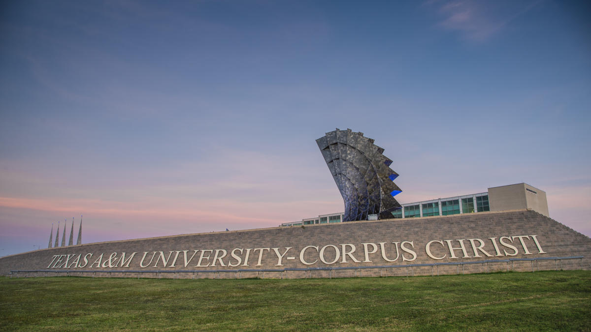 Texas A&M University Corpus Christi Corpus Christi, TX