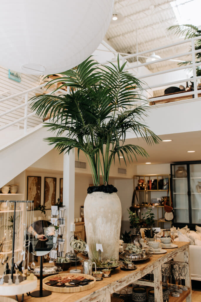 Wildflowers Corpus Christi, TX