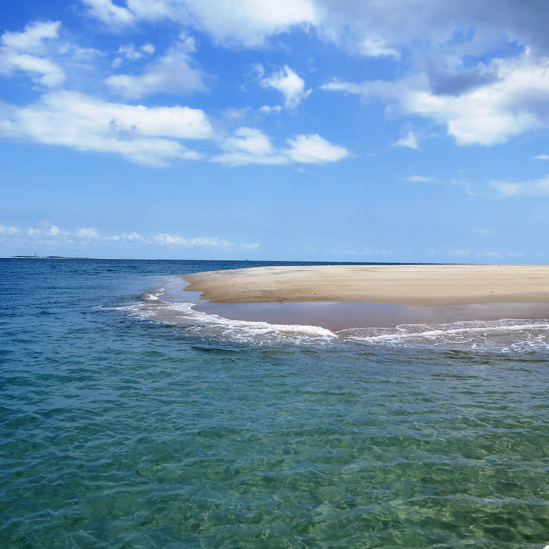 Crystal Coast Ecotours Morehead City, NC