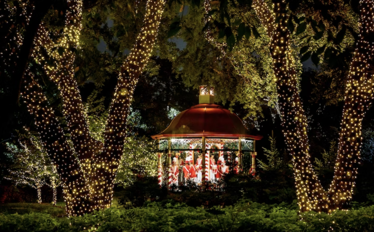 Holiday at the Arboretum